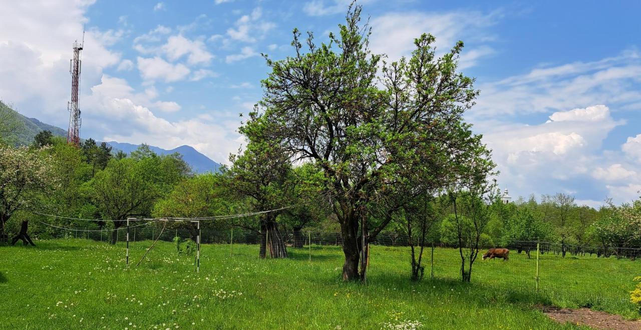 Villa Katharina Bran Bran  Zewnętrze zdjęcie