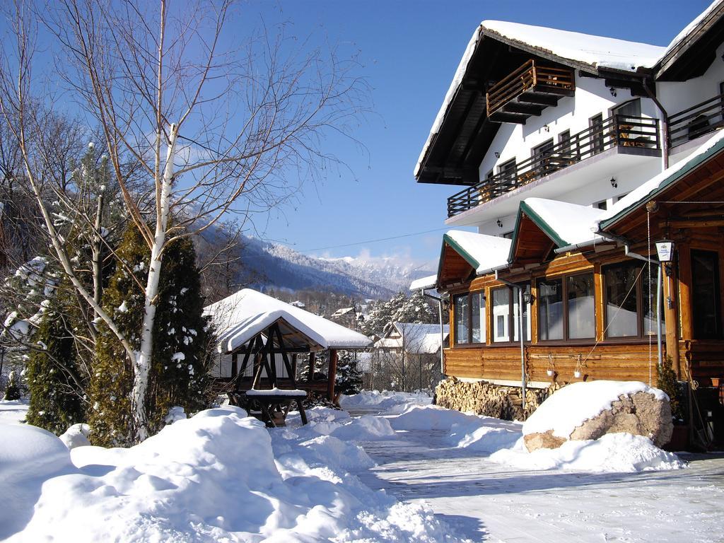 Villa Katharina Bran Bran  Zewnętrze zdjęcie